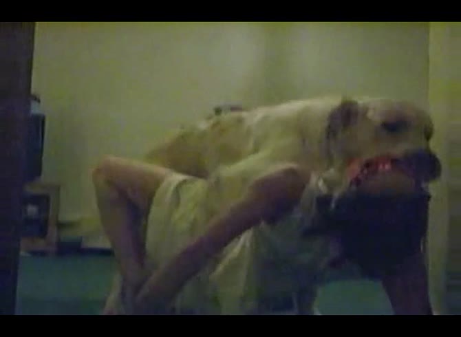 Video :Sexy girl got smashed in a hot dog sex by dog